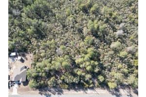 0000 170TH LOOP, OCALA, FL 34473 - MLS#MFRG5107996