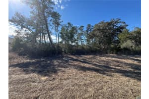 0000 170TH LOOP, OCALA, FL 34473 - MLS#MFRG5107996