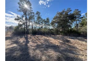 0000 170TH LOOP, OCALA, FL 34473 - MLS#MFRG5107996