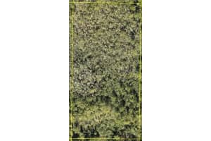 CALVIN LEE, CLERMONT, FL 34711 Sold 03/26/26