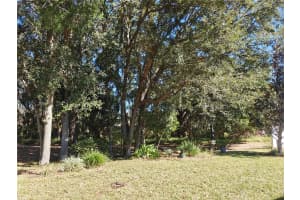 MLS# MFRG5108043, Leesburg, Florida 34748