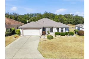 7132 172ND HAZELWOOD LOOP, THE VILLAGES, FL 32162 - MLS#MFRG5108066