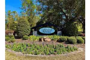 35135 PINEGATE TRAIL, EUSTIS, FL 32736 - MLS#MFRG5108081