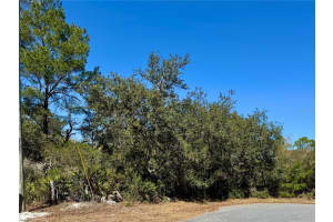 LOT 7 SHADY ROSE COURT, EUSTIS, FL 32736 - MLS#MFRG5108150