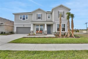 17453 Valleywood Pkwy, LAND O LAKES