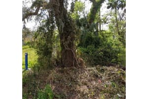 00 DIVISION STREET, DAYTONA BEACH, FL 32114 - MLS#MFRG5108191