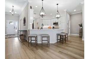 7704 BRIAN ETHEREDGE WAY, THE VILLAGES, FL 34762 - MLS#MFRG5108239