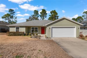 8387 160TH PLACE, SUMMERFIELD, FL 34491 - MLS#MFRG5108309