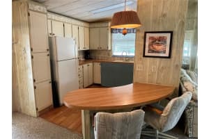 309 TIMBER TRAIL, WILDWOOD, FL 34785 - MLS#MFRG5108335