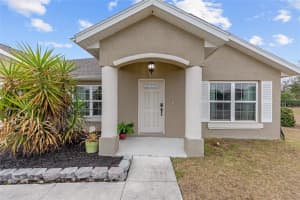 13653 51ST AVENUE, SUMMERFIELD, FL 34491 - MLS#MFRG5108349