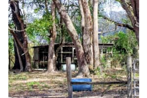 14240 SR 471, WEBSTER, FL 33597 - MLS#MFRG5108350