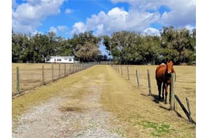 14240 SR 471, WEBSTER, FL 33597 - MLS#MFRG5108350