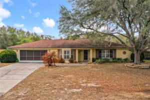 817 BERRYHILL CIRCLE, FRUITLAND PARK, FL 34731 - MLS#MFRG5108351