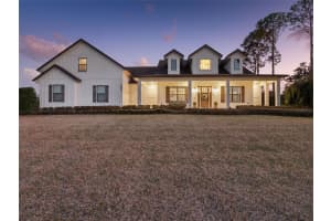 16922 Apopka Springs Blvd, MONTVERDE