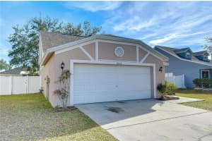 24640 SIENA DRIVE, LUTZ, FL 33559 - MLS#MFRG5108400