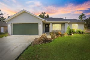 224 FISHER ROAD, OCKLAWAHA, FL 32179 - MLS#MFRG5108412