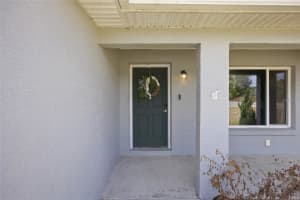 224 FISHER ROAD, OCKLAWAHA, FL 32179 - MLS#MFRG5108412