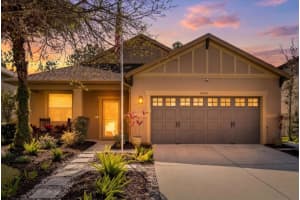 20900 OLDENBURG LOOP, MOUNT DORA, FL 32757 - MLS#MFRG5108461