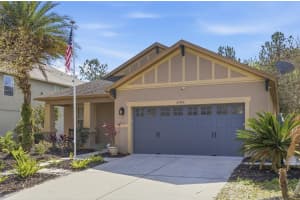 20900 OLDENBURG LOOP, MOUNT DORA, FL 32757 - MLS#MFRG5108461