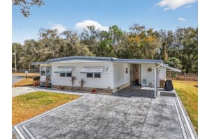 156 Royal Palm Dr, LEESBURG