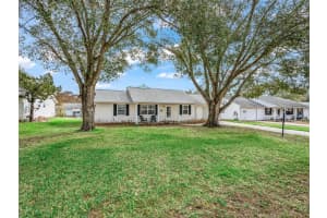 2003 TWEED COURT, LEESBURG, FL 34788 - MLS#MFRG5108501