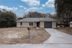973 CR 541, SUMTERVILLE, FL 33585 - MLS#MFRG5108513