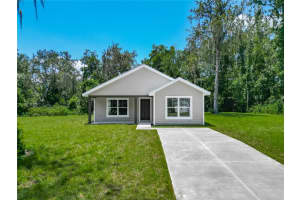 919 Cr 482c, LAKE PANASOFFKEE