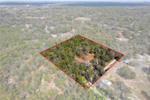 11881 45TH STREET, WEBSTER, FL 33597 - MLS#MFRG5108543