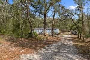 11881 45TH STREET, WEBSTER, FL 33597 - MLS#MFRG5108543