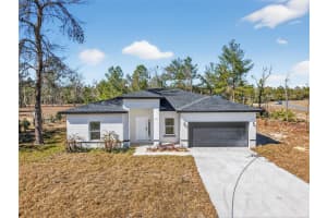 16 MALAUKA LANE DRIVE, OCKLAWAHA, FL 32179 - MLS#MFRG5108621