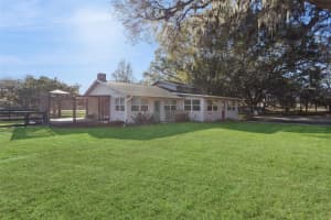 43411 STATE ROAD 19, ALTOONA, FL 32702 - MLS#MFRG5108665