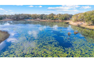 36035 SPRING LAKE BOULEVARD, FRUITLAND PARK, FL 34731 - MLS#MFRG5108671