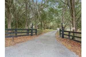 2351 114TH AVENUE, MORRISTON, FL 32668 - MLS#MFRG5108688