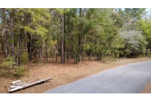 SW 73 LOOP, DUNNELLON, FL 34432 - MLS#MFRG5108693