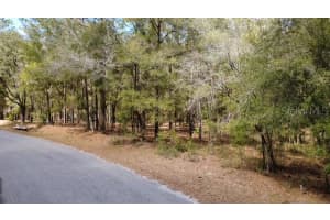 SW 73 LOOP, DUNNELLON, FL 34432 - MLS#MFRG5108693