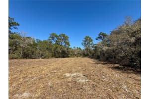 LOT 11 POINCIANA STREET, EUSTIS, FL 32736 - MLS#MFRG5108719