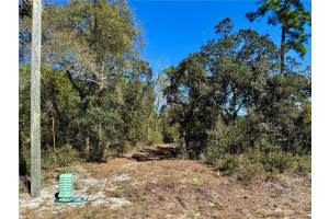 LOT 11 POINCIANA STREET, EUSTIS, FL 32736 - MLS#MFRG5108719