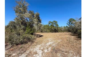 LOT 11 POINCIANA STREET, EUSTIS, FL 32736 - MLS#MFRG5108719