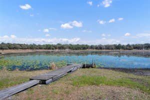 9043 SE 180TH AVE, OCKLAWAHA, FL 32179 - MLS#MFRG5108721