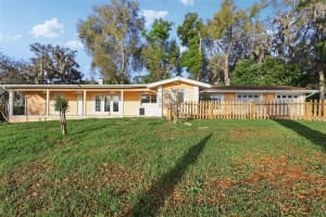 131 PALMETTO AVENUE, HOWEY IN THE HILLS, FL 34737 - MLS#MFRG5108747