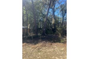 W SECOND AVE, UMATILLA, FL 32784 - MLS#MFRG5108760
