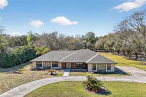 32239 WOLF BRANCH LANE, SORRENTO, FL 32776 - MLS#MFRG5108818