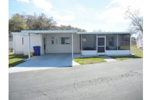 205 RUE DE PONT, TAVARES, FL 32778 - MLS#MFRG5108858