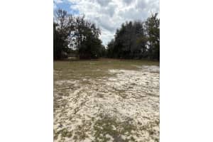 114 W PARKER, LAKELAND, FL 33815 - MLS#MFRG5108880