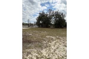 114 W PARKER, LAKELAND, FL 33815 - MLS#MFRG5108880