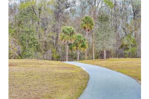 904 MAYNARD PATH, THE VILLAGES, FL 32163 - MLS#MFRG5108983