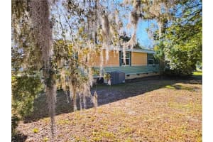 11 BOBWHITE ROAD, WILDWOOD, FL 34785 - MLS#MFRG5109052