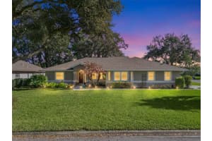 21533 KING HENRY AVENUE, LEESBURG, FL 34748 - MLS#MFRG5109069