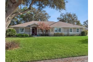 21533 KING HENRY AVENUE, LEESBURG, FL 34748 - MLS#MFRG5109069