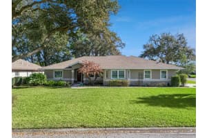 21533 KING HENRY AVENUE, LEESBURG, FL 34748 - MLS#MFRG5109069